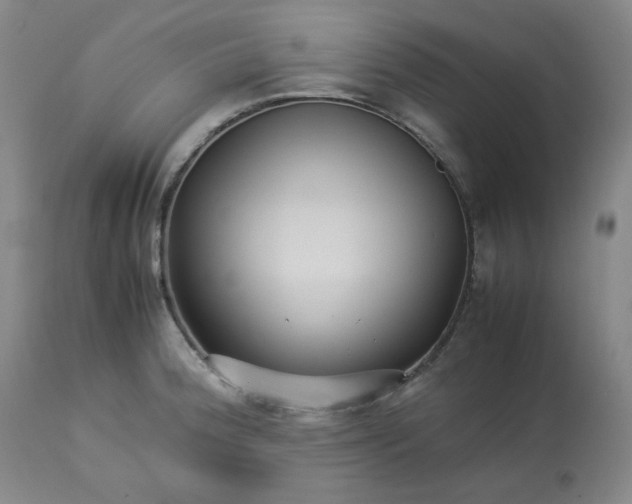 X0000113221188200909241440