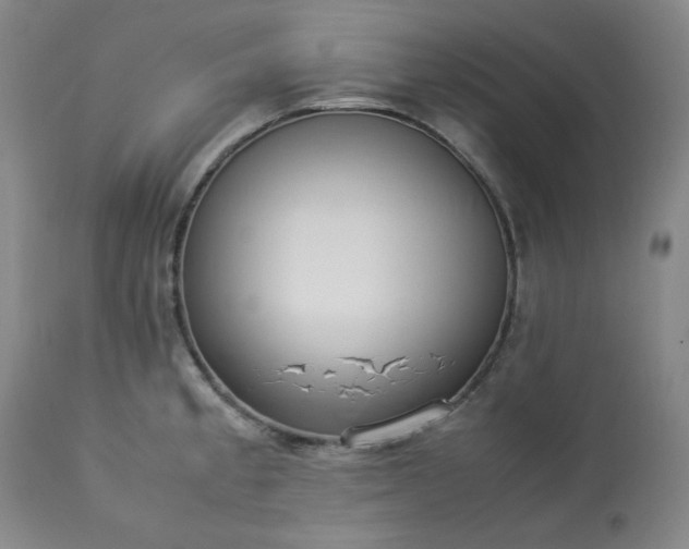 X0000113221189200909241440