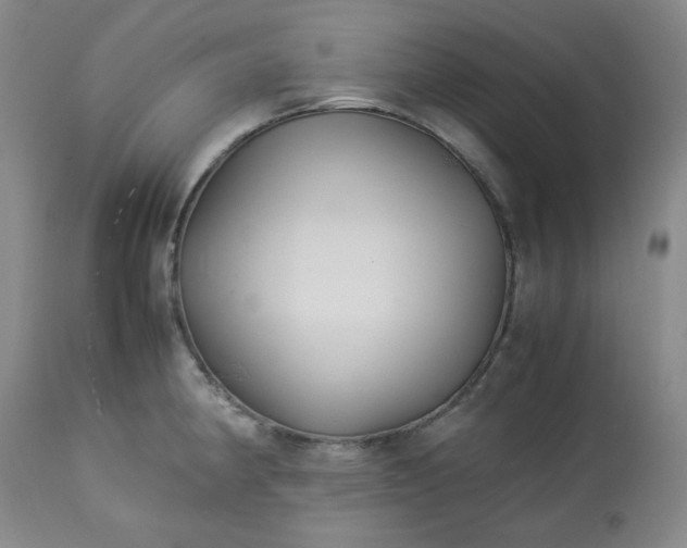 X0000113221190200909241440