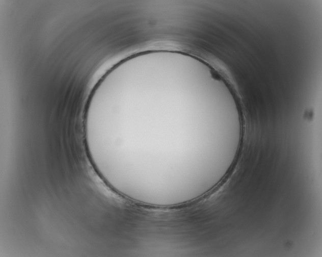 X0000113221192200909241440