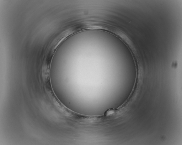 X0000113221193200909241440