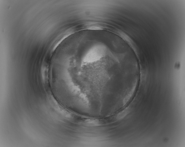 X0000113221194200909241440