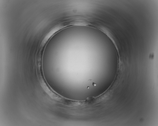 X0000113221195200909241440