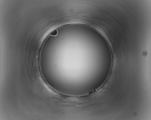 X0000113221197200909241440