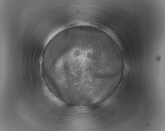 X0000113221198200909241440