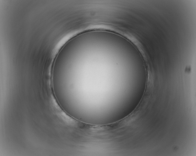 X0000113221199200909241440