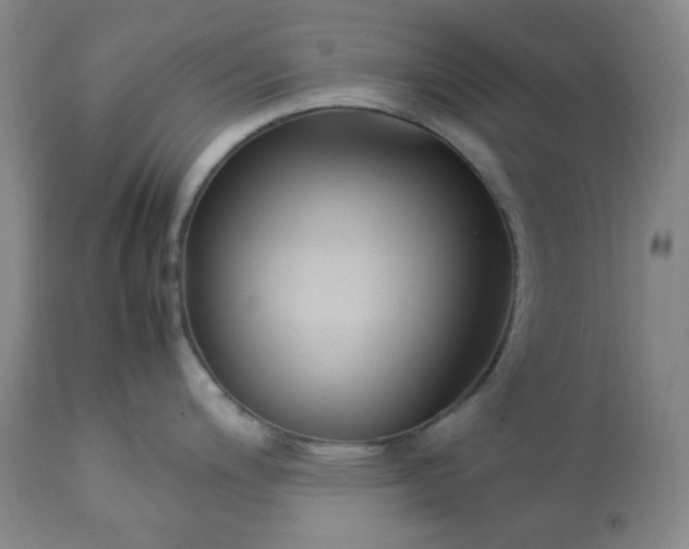 X0000113221200200909241440