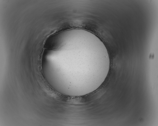 X0000113221201200909241440