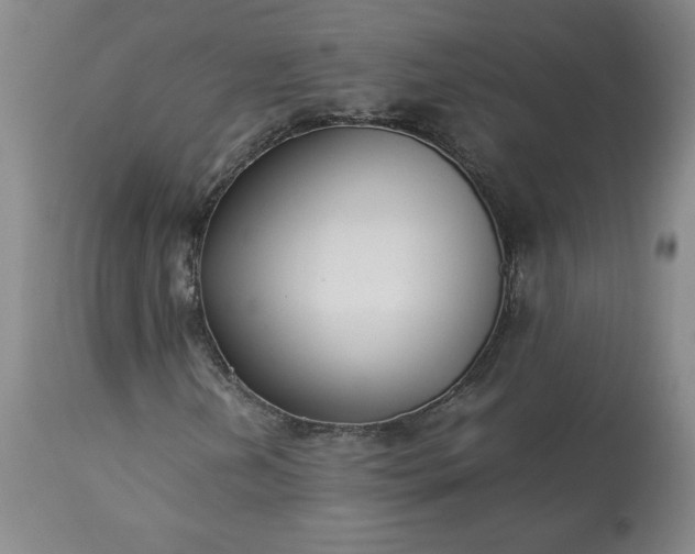 X0000113221202200909241440