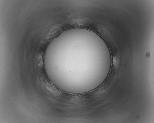 X0000113221203200909241440