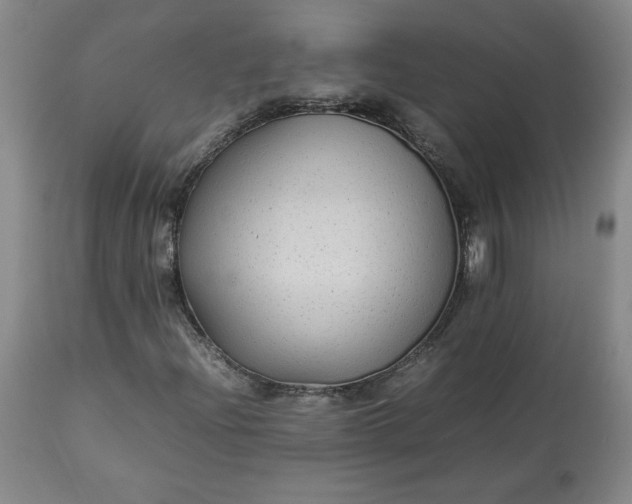 X0000113221204200909241440