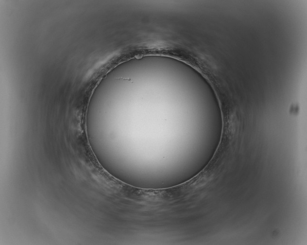 X0000113221205200909241440