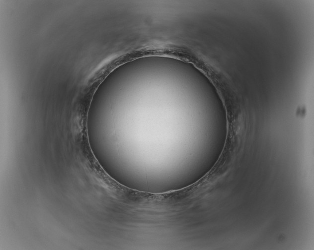 X0000113221206200909241440