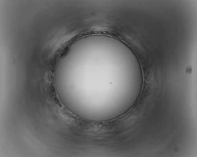 X0000113221207200909241440