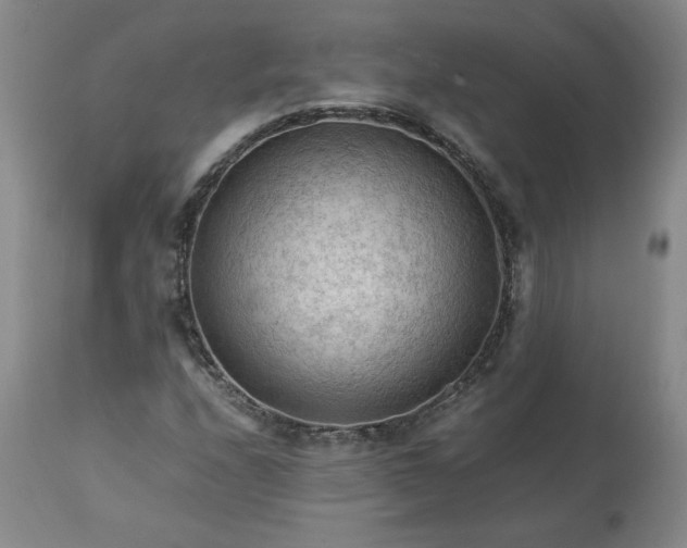 X0000113221208200909241440