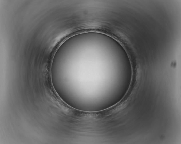 X0000113221210200909241440