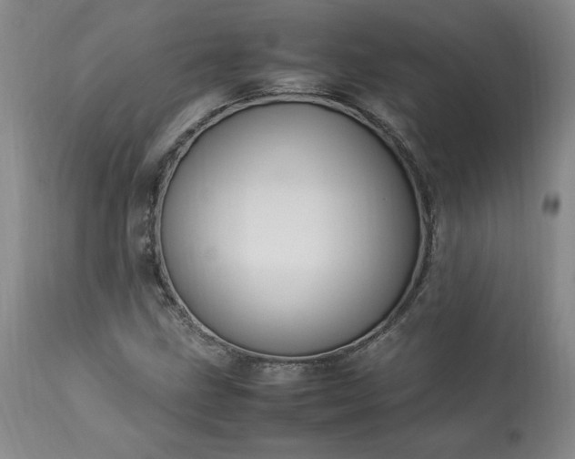 X0000113221211200909241440