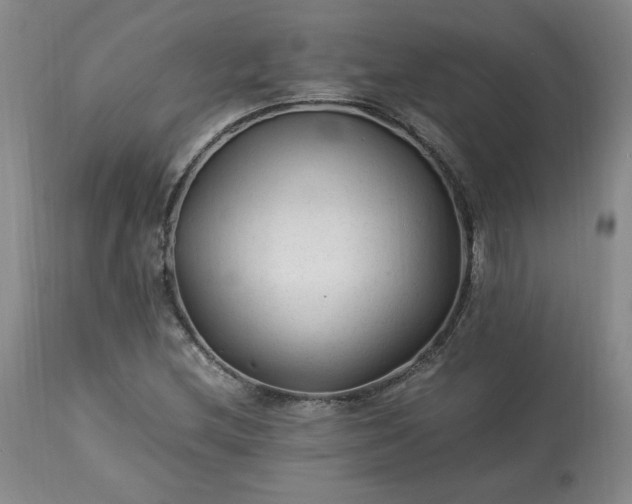 X0000113221212200909241440