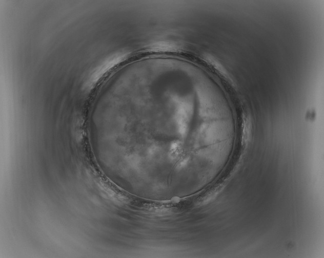 X0000113221213200909241440