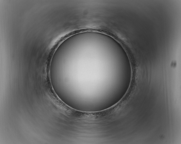 X0000113221214200909241440