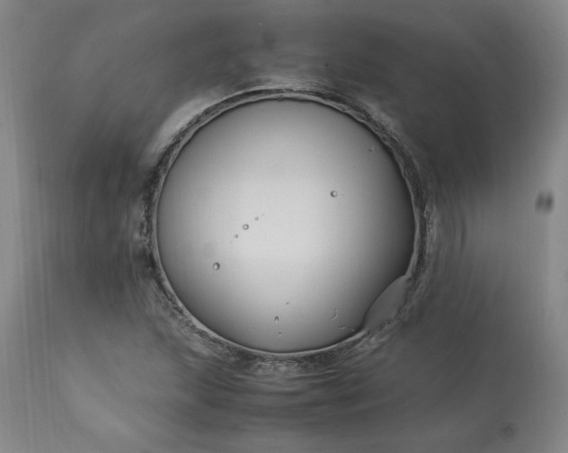 X0000113221215200909241440