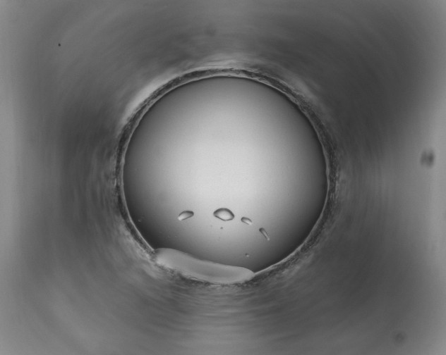 X0000113221216200909241440