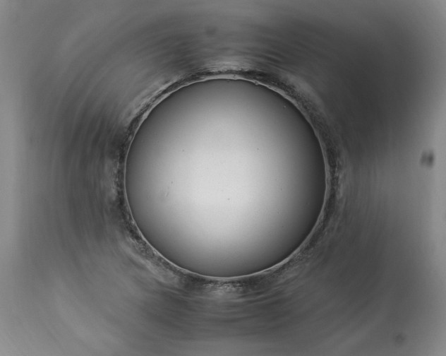 X0000113221217200909241440