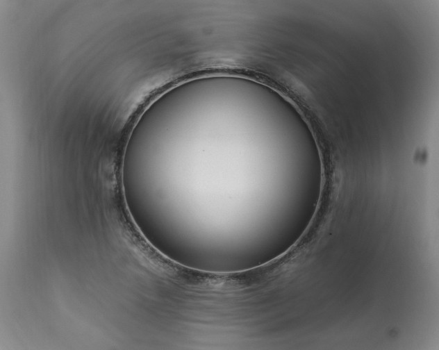 X0000113221218200909241440