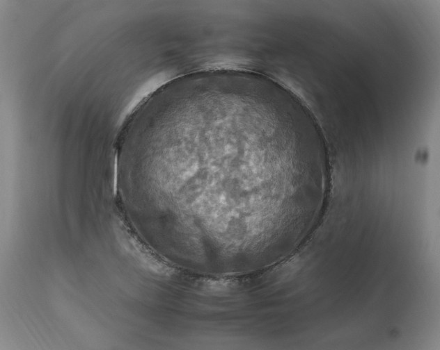 X0000113221219200909241440