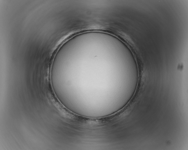 X0000113221220200909241440