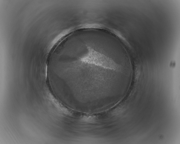 X0000113221221200909241440