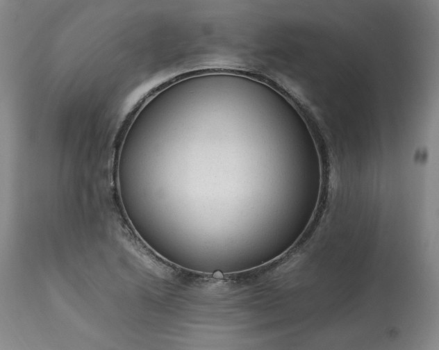 X0000113221222200909241440