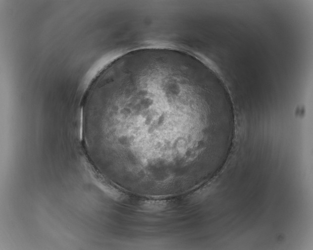 X0000113221223200909241440