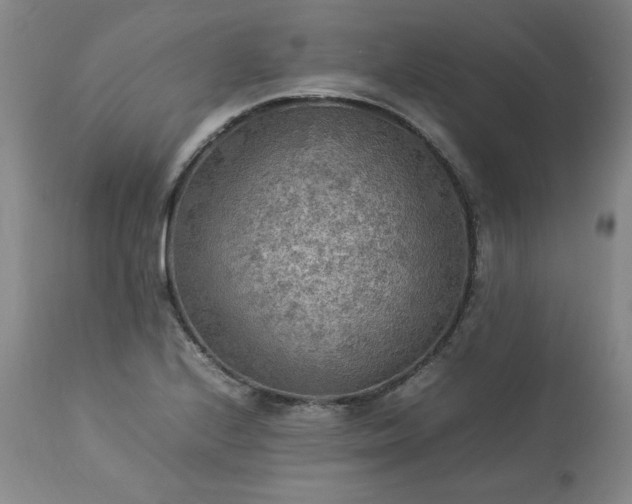 X0000113221224200909241440