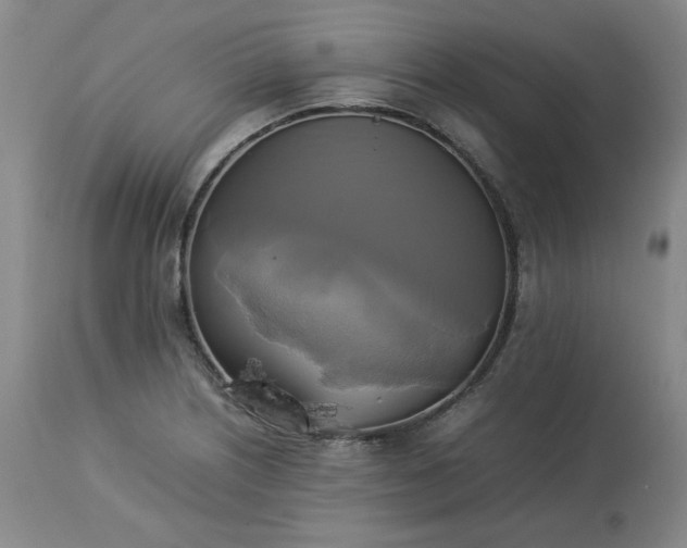 X0000113221226200909241440