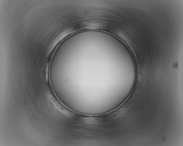 X0000113221227200909241440