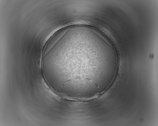 X0000113221228200909241440