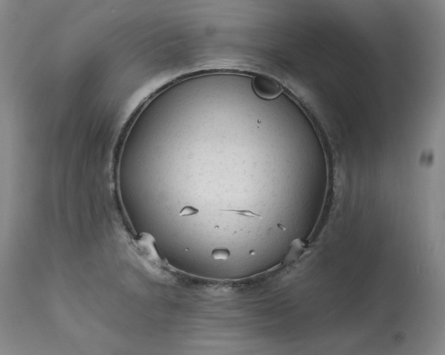 X0000113221230200909241440