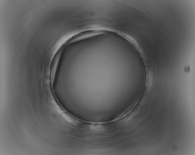 X0000113221231200909241440