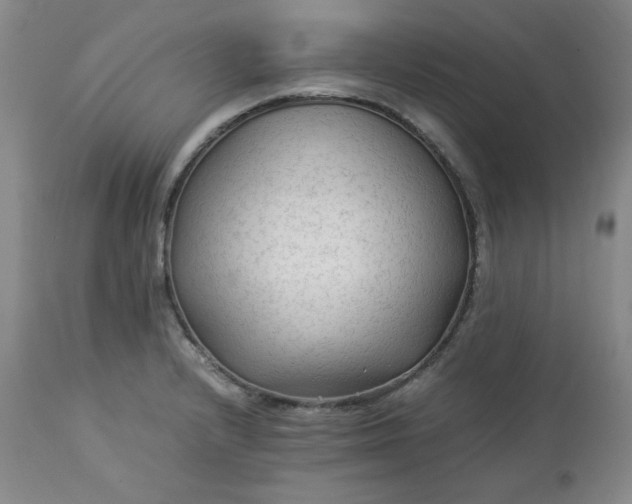 X0000113221232200909241440