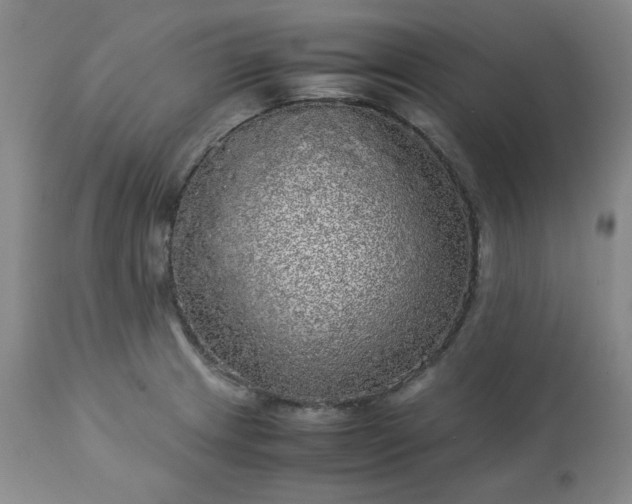 X0000113221233200909241440