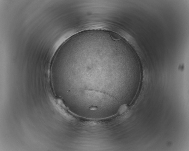 X0000113221234200909241440