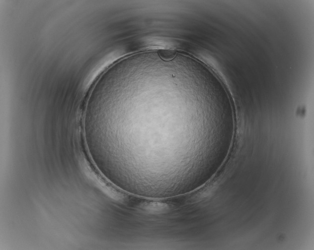 X0000113221235200909241440