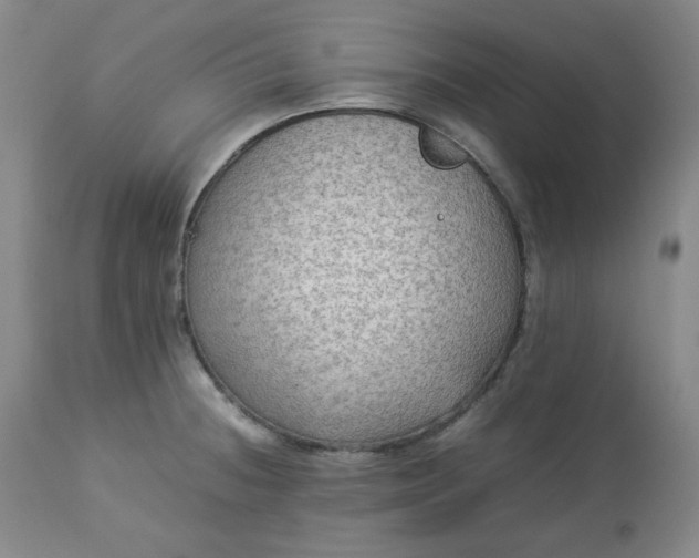 X0000113221236200909241440