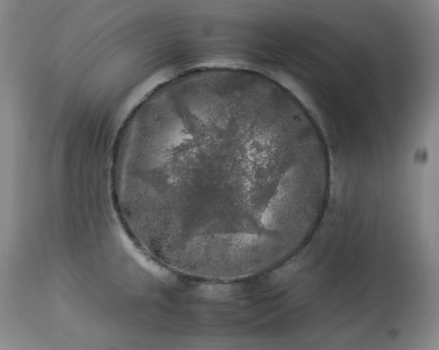 X0000113221237200909241440