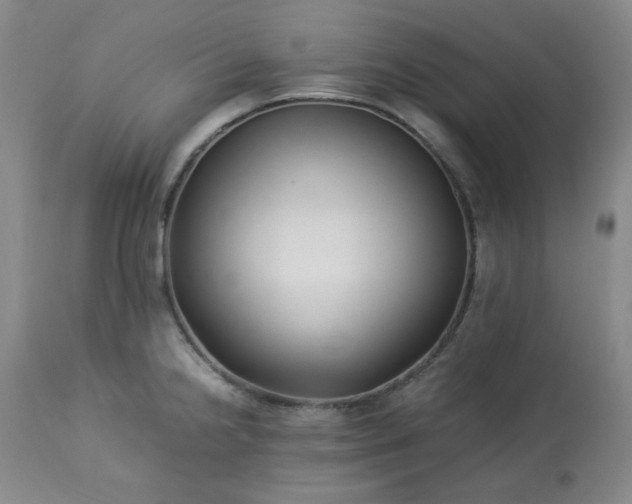 X0000113221238200909241440