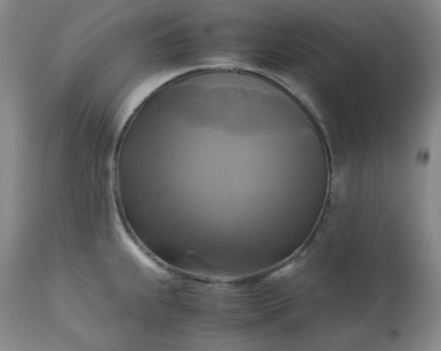 X0000113221239200909241440