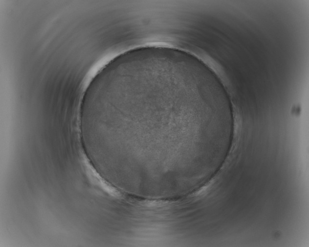 X0000113221240200909241440