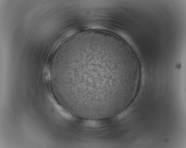 X0000113221241200909241440