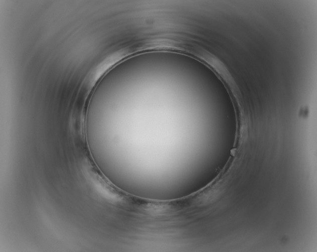 X0000113221242200909241440